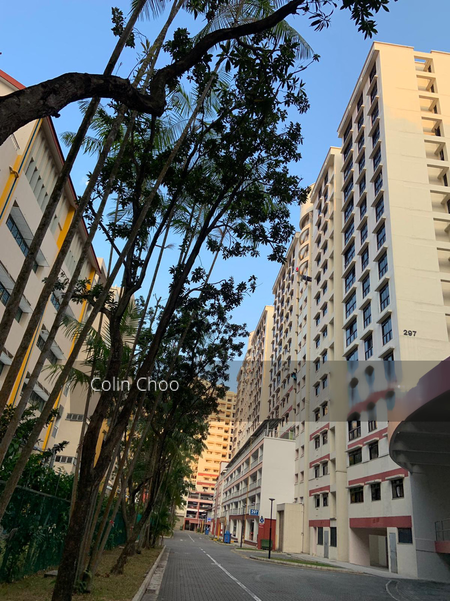 Blk 297 Choa Chu Kang Avenue 2 (Choa Chu Kang), HDB 5 Rooms #203103711